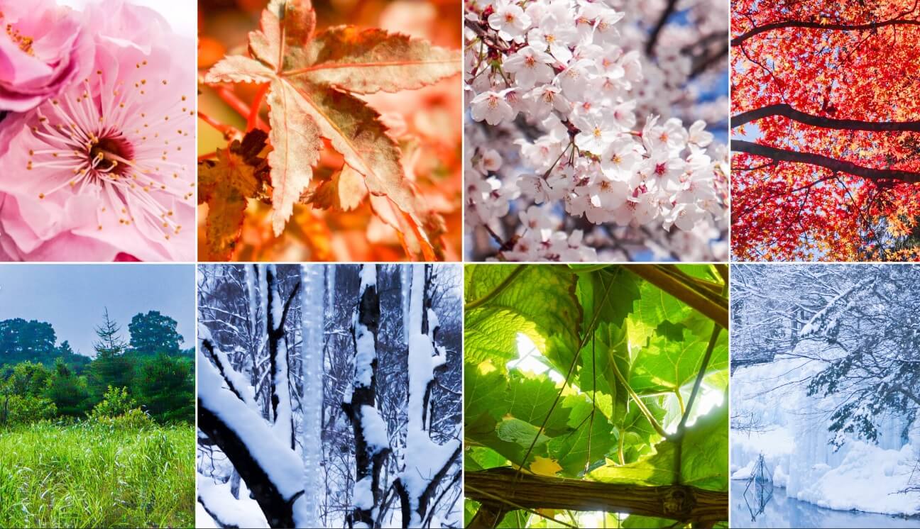 24절기 사계절