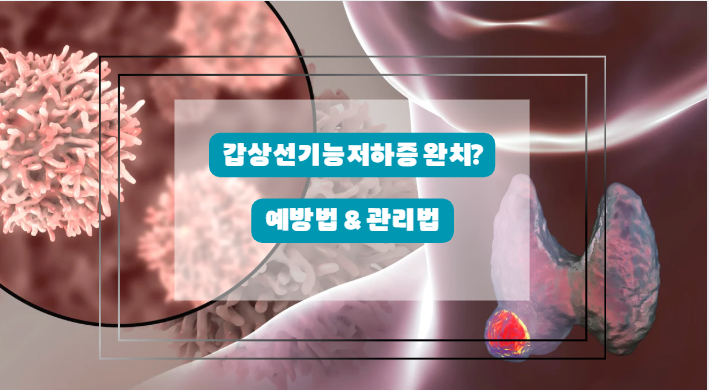 갑상선 기능 저하증의 예방과 관리