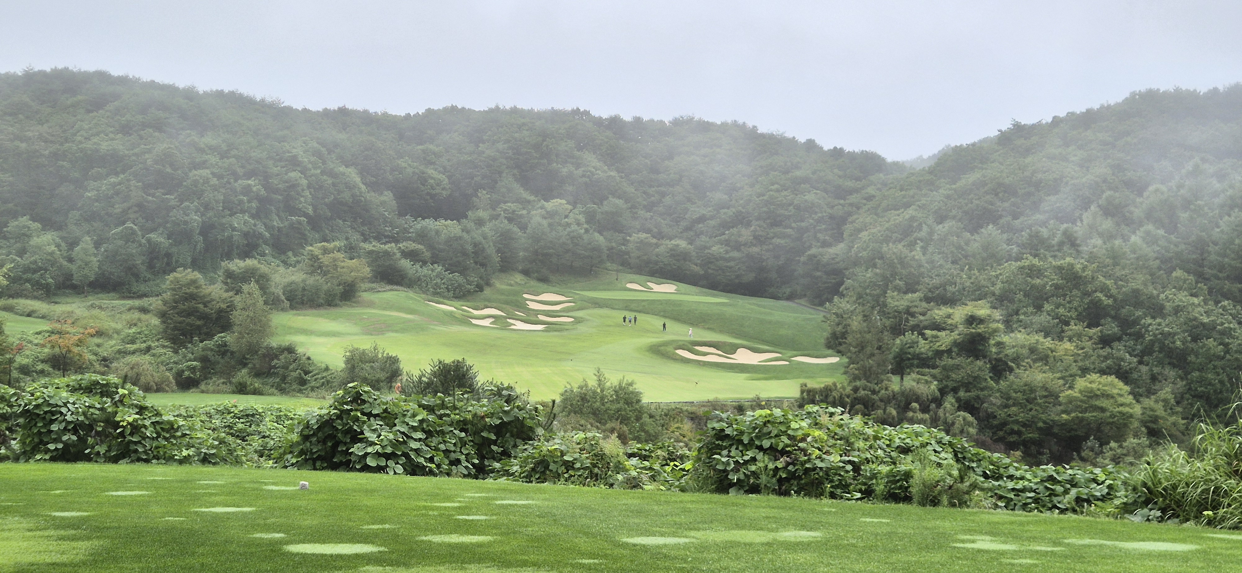 더플레이어스cc