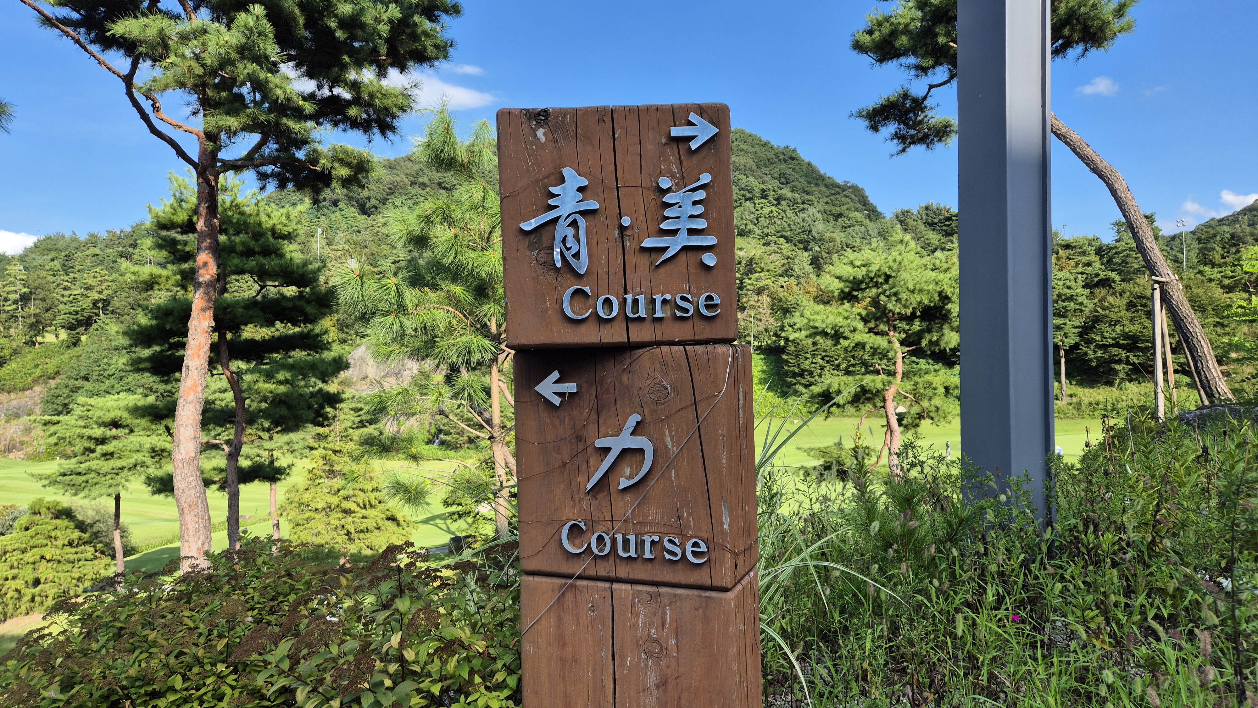 대영힐스cc 청-력 코스 라운드 후기