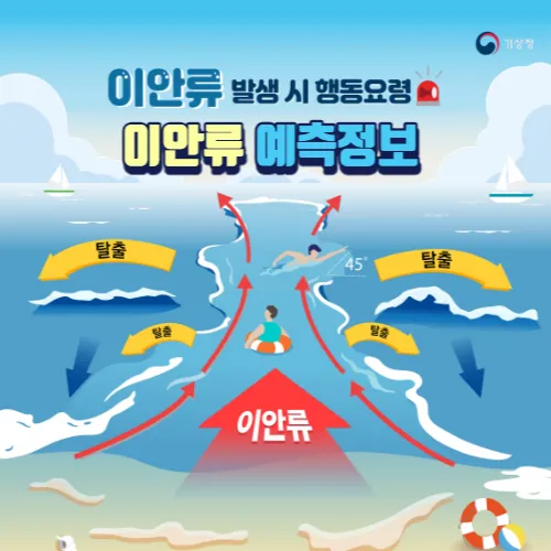 이안류_예측정보