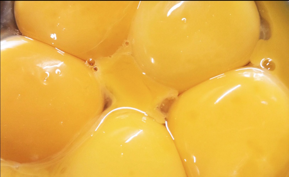 비오틴 많은 달걀노른자