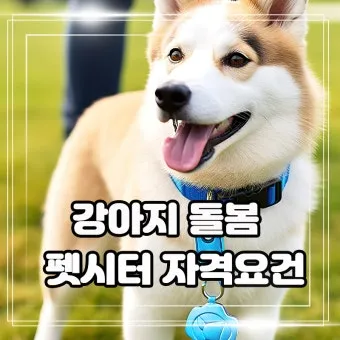 펫시터자격 교육과정 활동영역 창업준비 시니어 돌봄 일거리 찾기_15