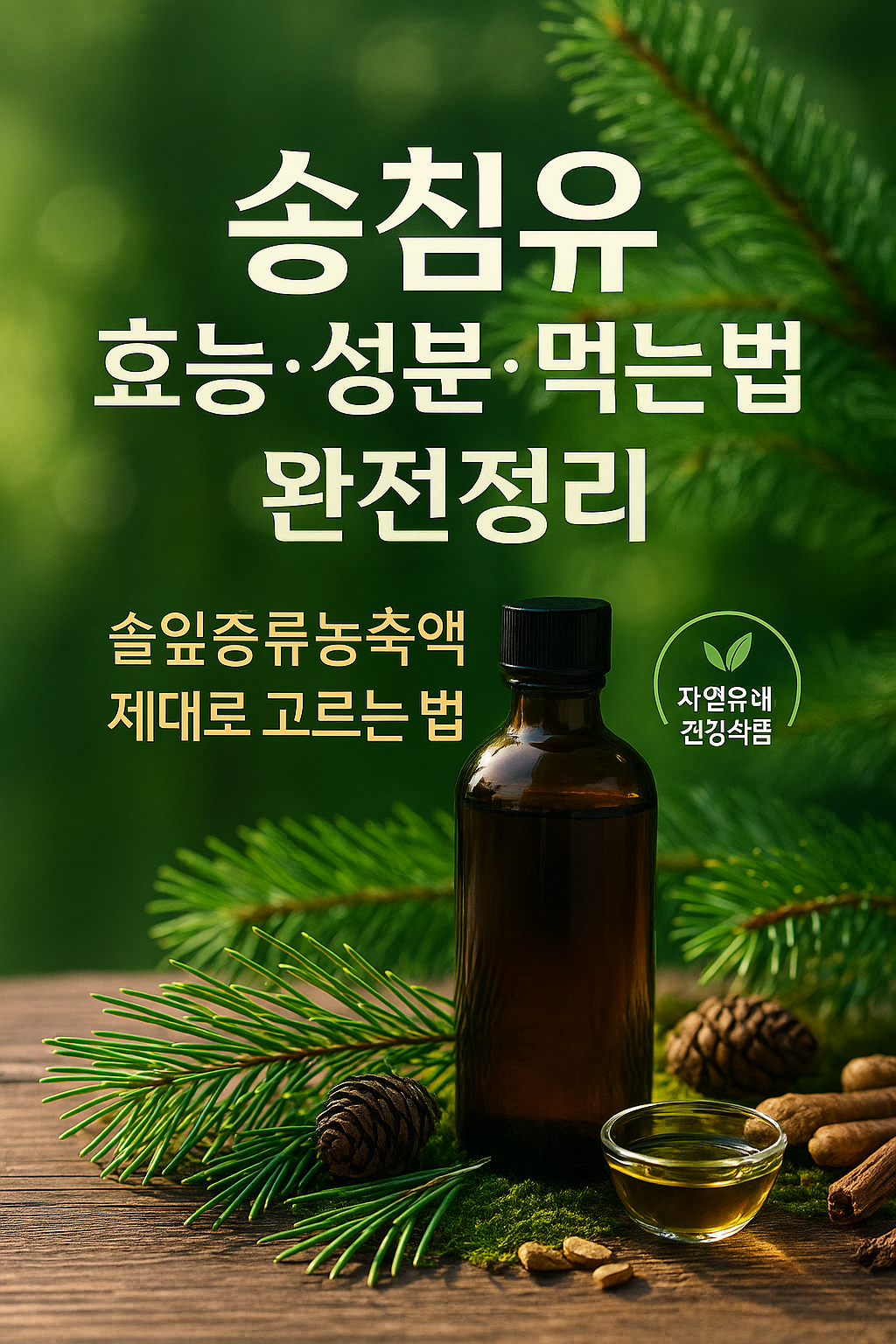 송침유 효능&middot;성분&middot;먹는법 완전정리｜솔잎증류농축액 제대로 고르는 법