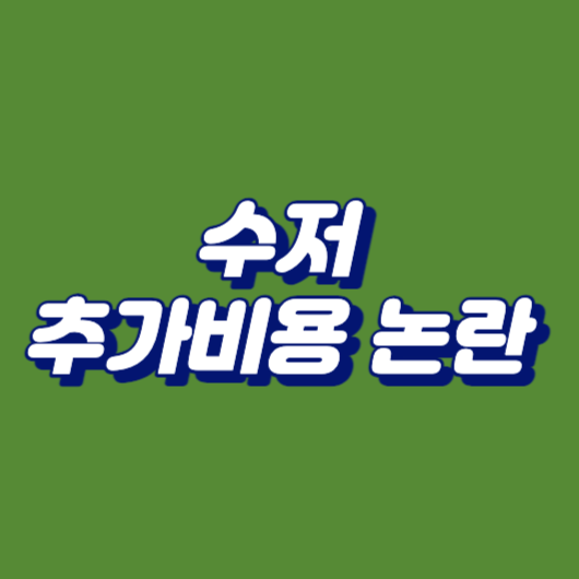 수저 추가비용에 대한 논란