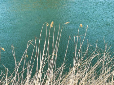 잠수교 뚜벅뚜벅