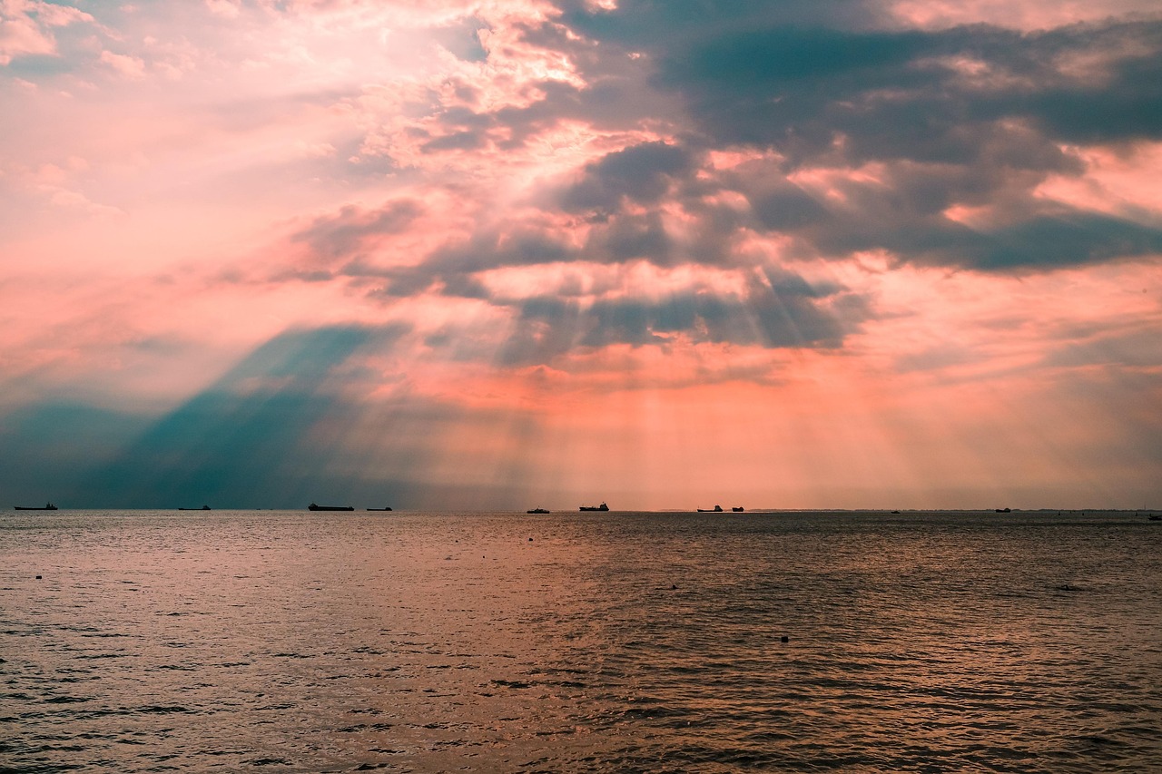 2025년 12월 4주차 띠별 운세