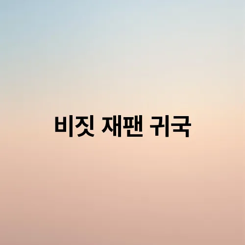 비짓 재팬 귀국
