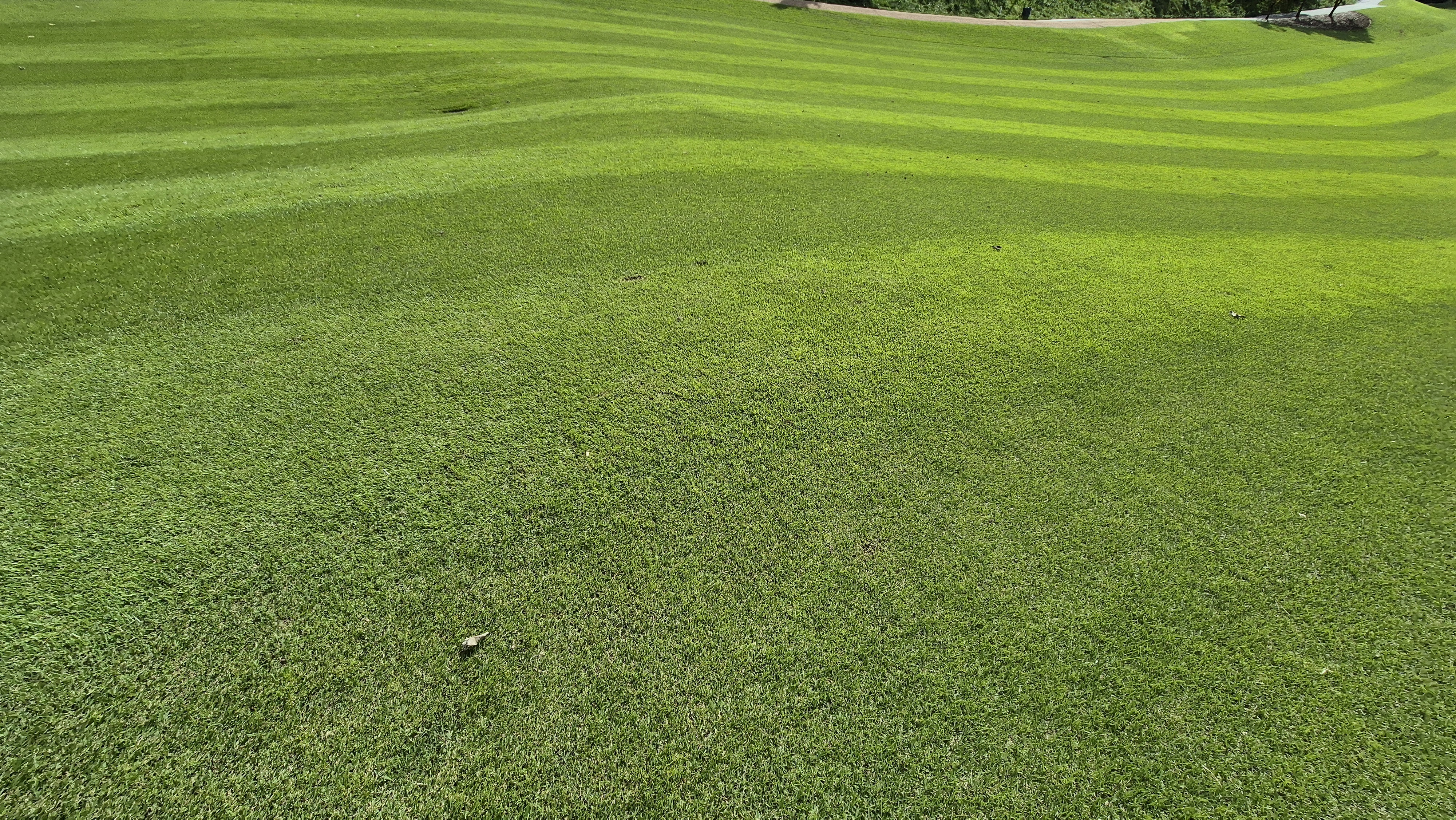 오크힐스cc 코스난이도