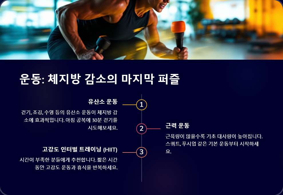 체지방 감소를 위한 식단과 운동 조합