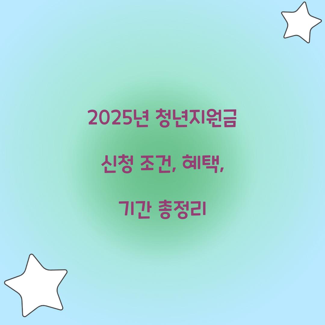 2025년 청년지원금