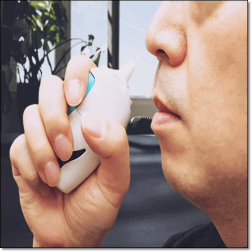 긴병꽃풀 호흡기 건강