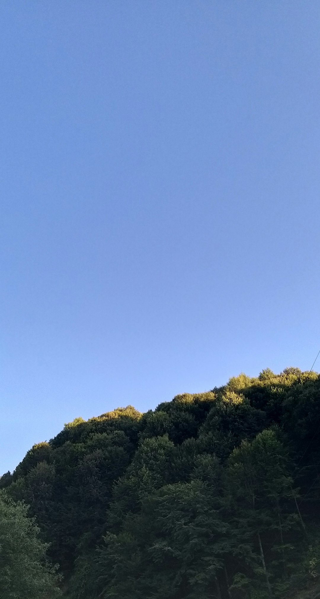 호우주의보 | 경보 기준 | 발령지역 | 서울 전역 | 중부