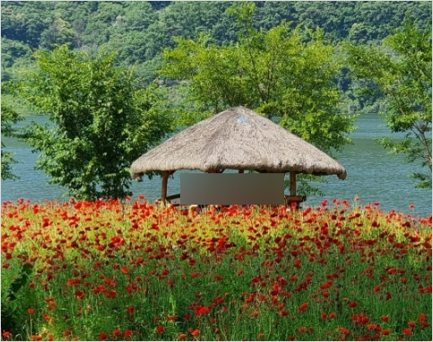 경기도 가을꽃 추천여행지 BEST 4