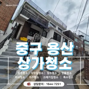 노후 주택 청소 낡은 실리콘 교체와 방충망 수리 조명 교체_26