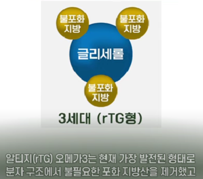 rtg 오메가 3 설명