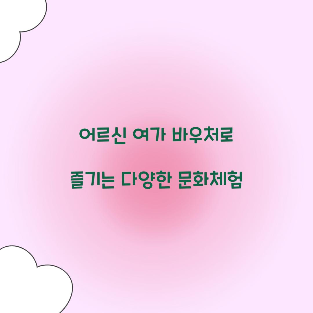 어르신 여가 바우처