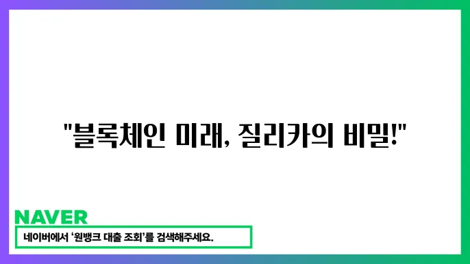 질리카의 보안성 강화