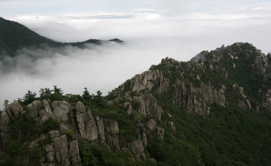 가야산 오토캠핑장