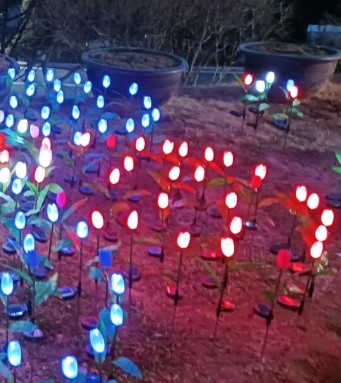 석모도 자연휴양림 숲나들e 국내 여행지 추천 관련 사진