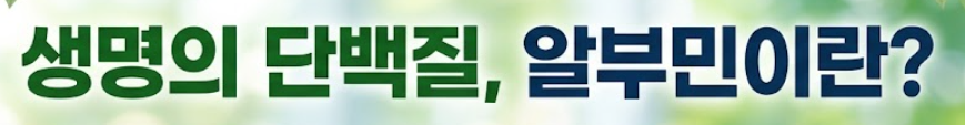 알부민 효능