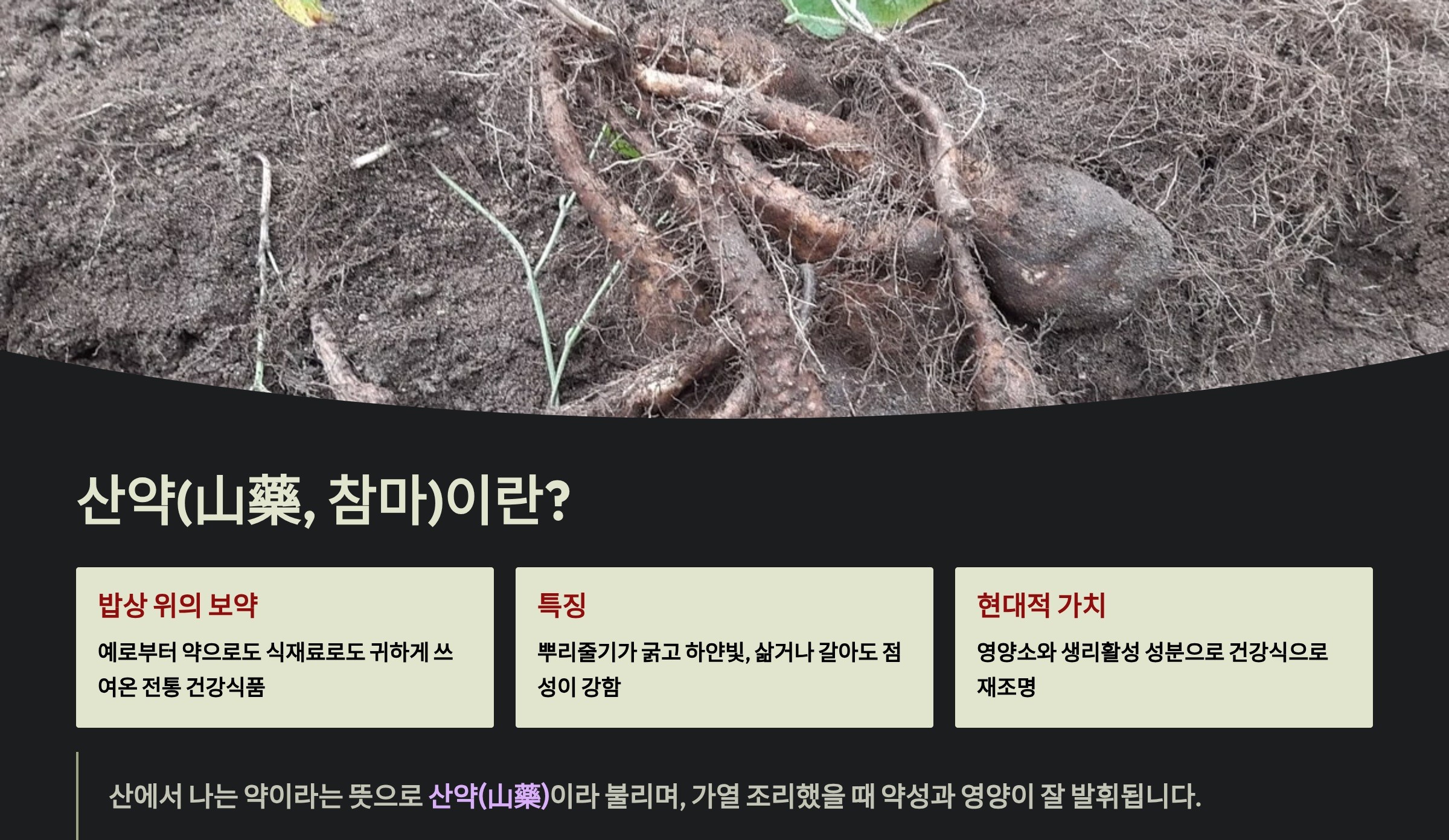 산약이란