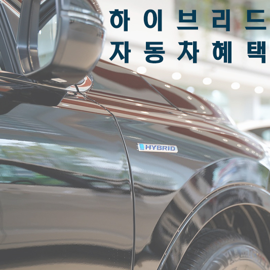 하이브리드 자동차