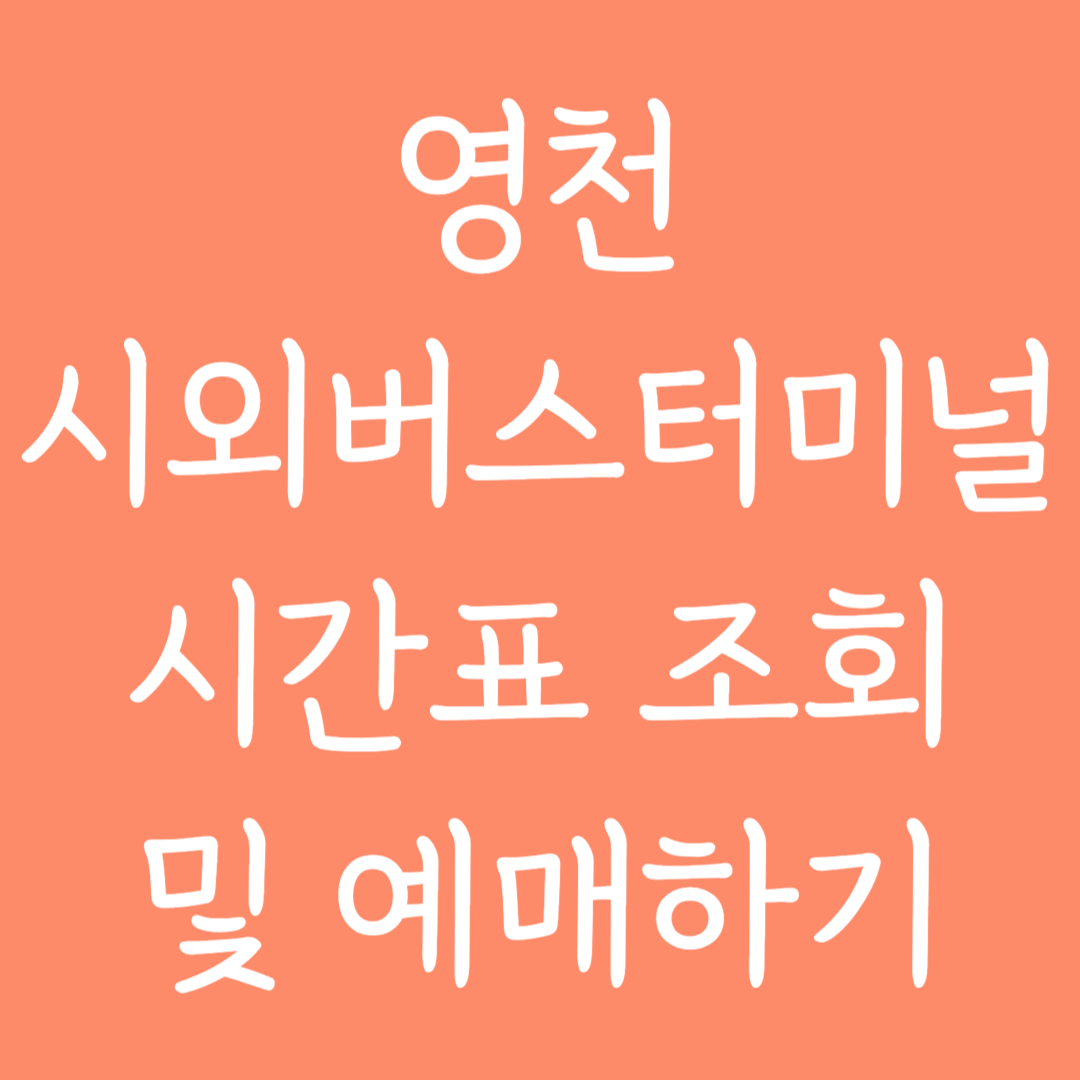 영천 시외버스터미널 시간표조회 및 예매하기