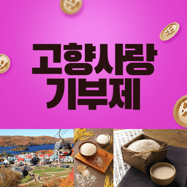고향사랑기부제