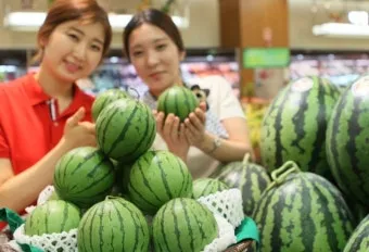 인천 수박껍질 음식물 일반쓰레기 과태료 피하는 법_45
