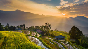 함안군 농업보조금 신청방법&amp;#44; 기간&amp;#44; 서류(공익직불금 대상)