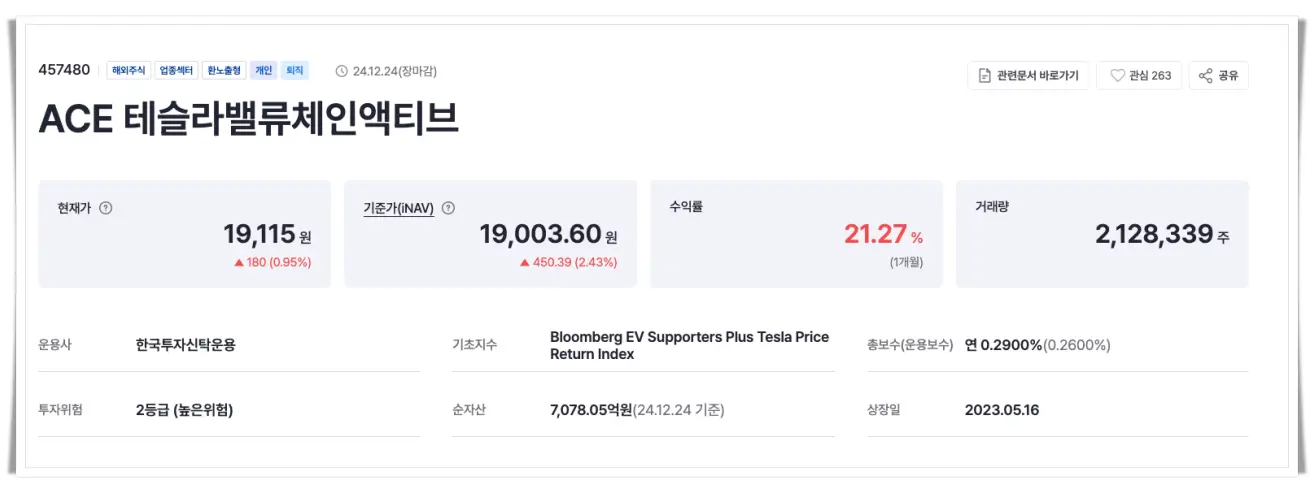 ACE 테슬라밸류체인액티브-etf-소개