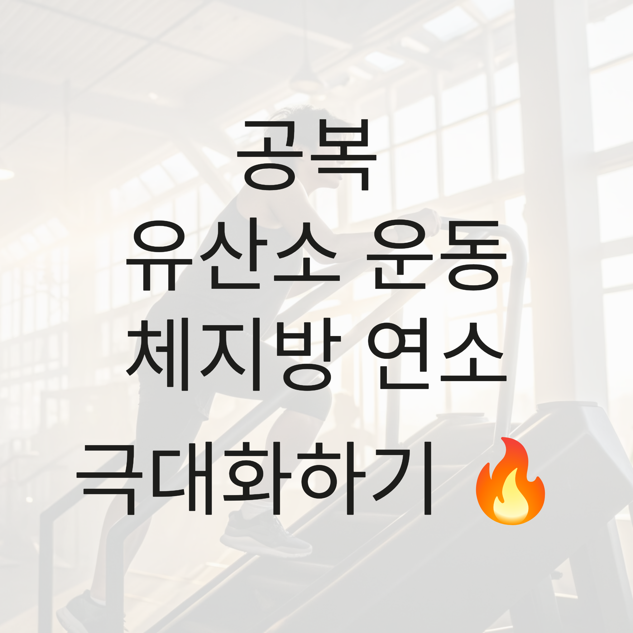 천국의 계단 운동기구 효과 : 공복 30분 운동으로 삶을 바꾸다