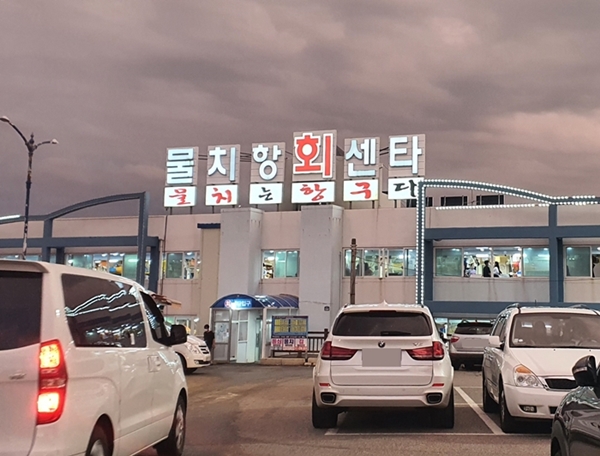물치항 회센터