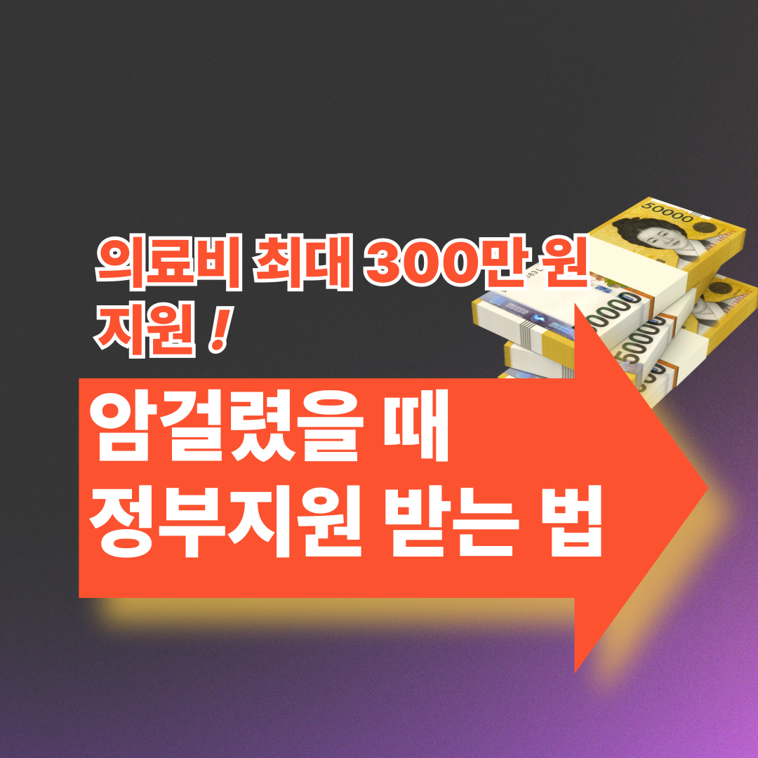 암걸렸을때 정부지원