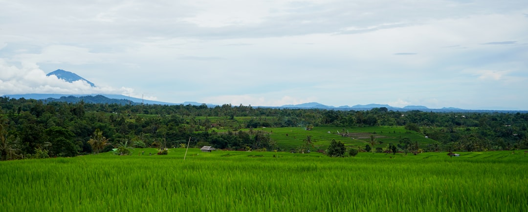 Andong Hahoe Village