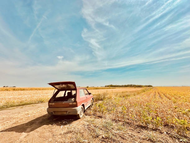 헤이딜러-폐차-취소