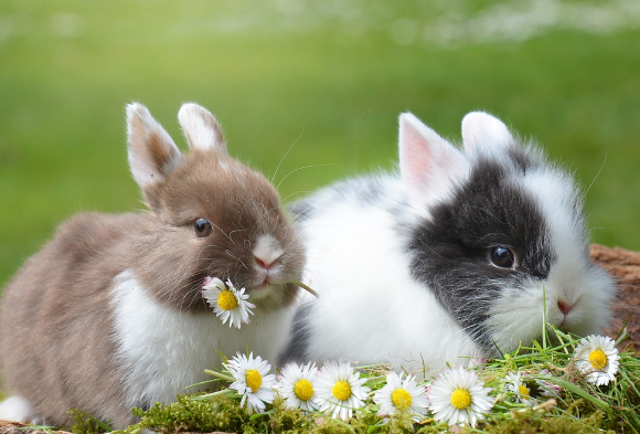 띠별 운세 10월 31일