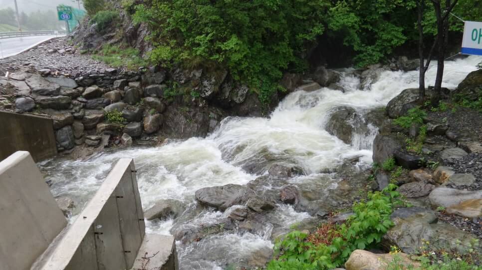 100대 명산 등산하기 마흔세번째 정선 가리왕산 깊은 원시림과 청량한 산세가 살아 숨 쉬는 강원도의 숨은 명산