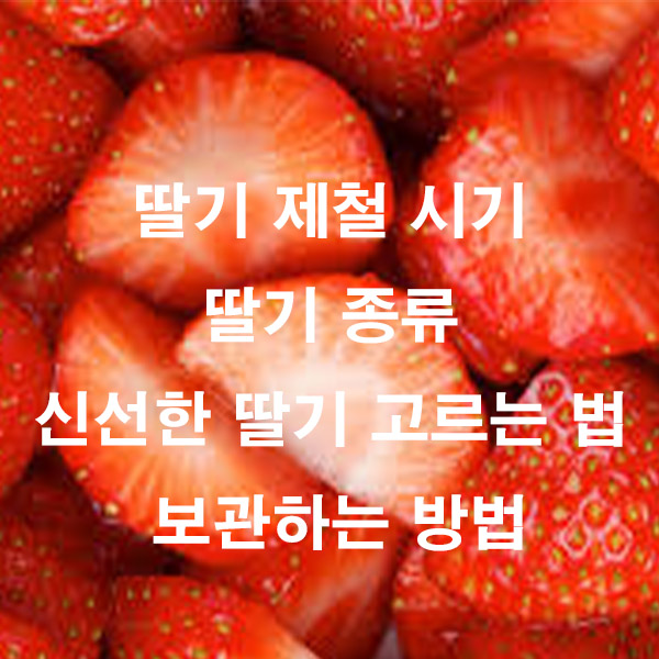 딸기 제철 시기 딸기 종류 신선한 딸기 고르는 법 보관하는 방법
