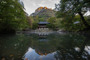 제4회 사찰음식 대축제 서울서 열린다 체험부터 시식까지