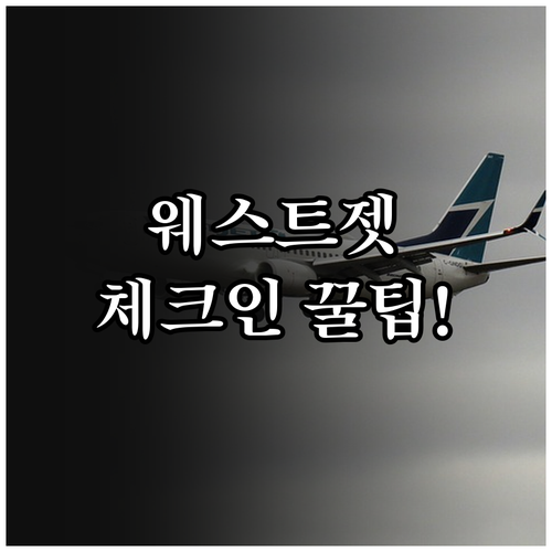 웨스트젯 온라인 체크인 하는법 시간과..