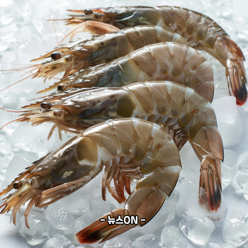 감바스 만들기