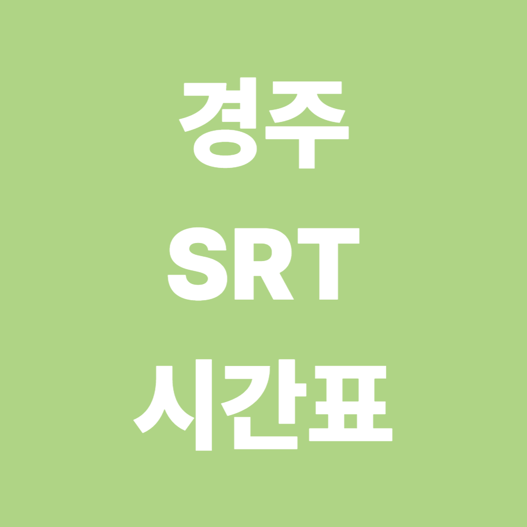 경주 SRT 시간표 완벽 가이드