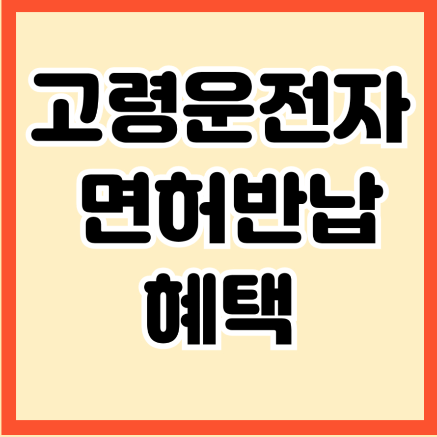 고령운전자 면허반납 혜택