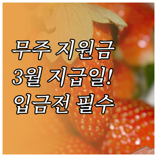 무주군 3월 지원금 예상 지급일과 입..