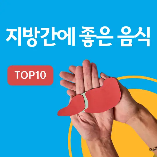 지방간에 좋은 음식 TOP10