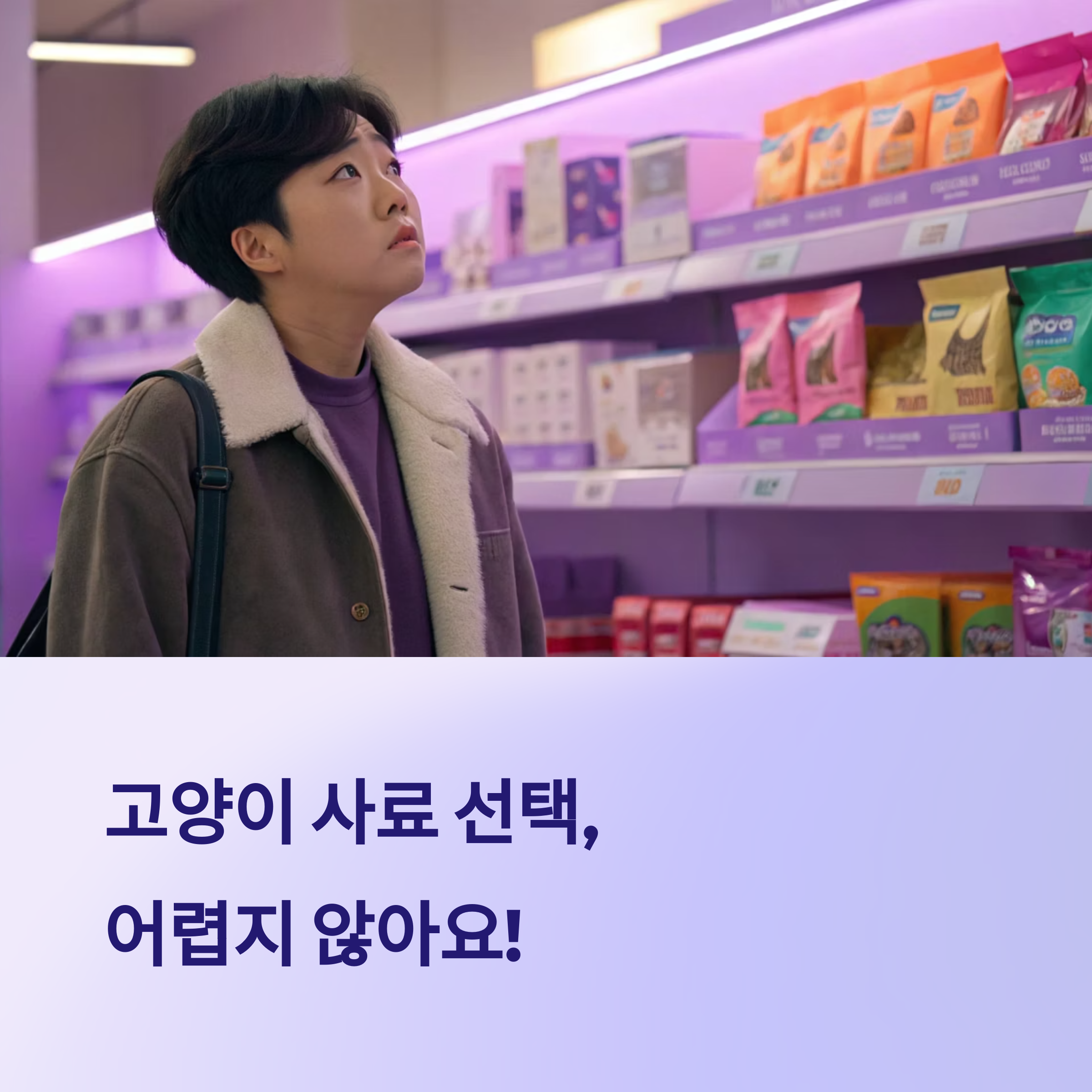 고양이 사료 꼭 알아야 할 기준 7가지