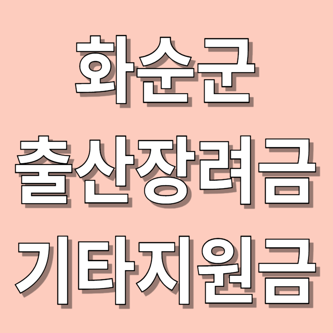 화순군 출산장려금