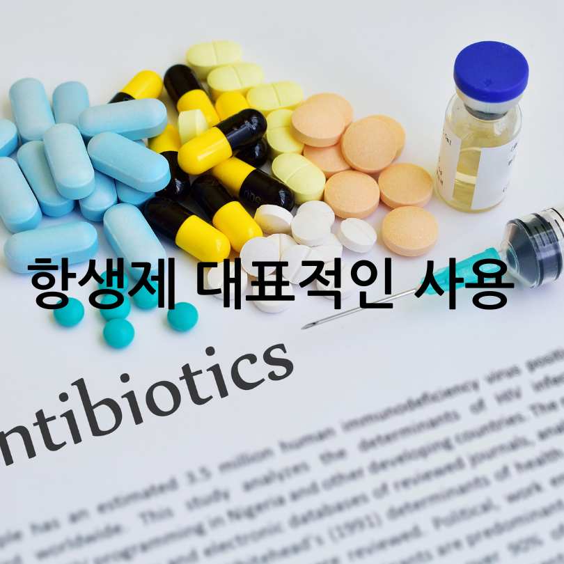 항생제와 소염제 차이